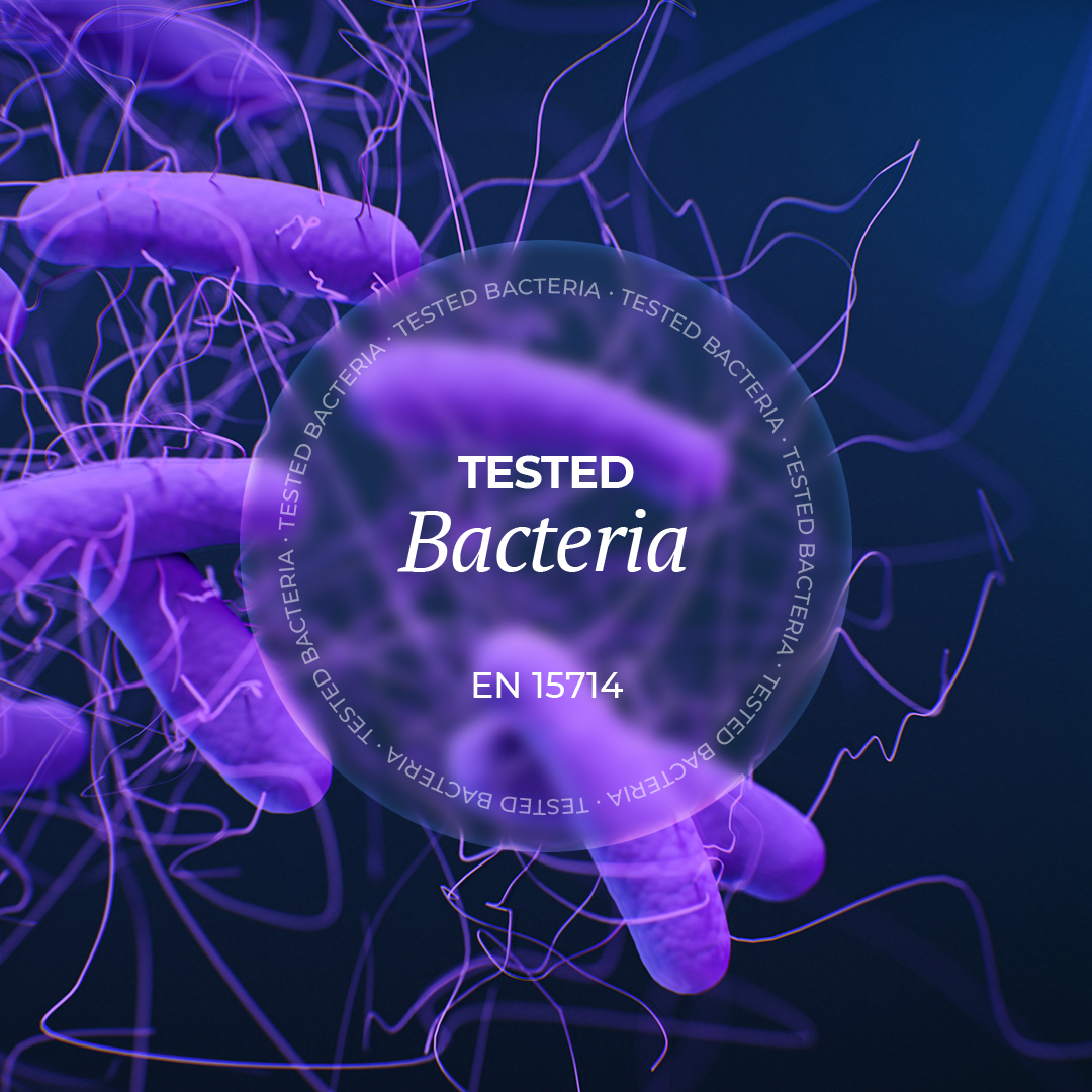 Bacteria
